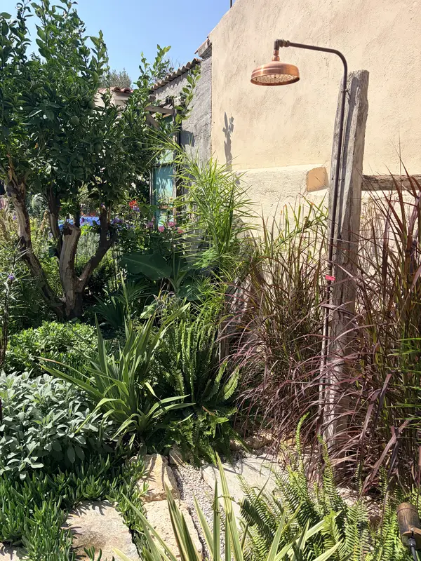 The outdoor shower among ferns, grasses and olive trees