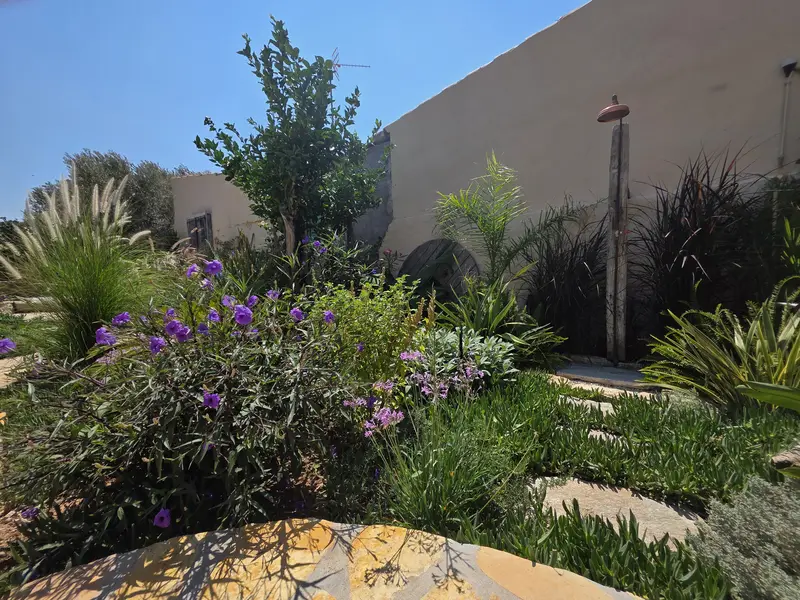 The garden with the copper outdoor shower against the pale wall