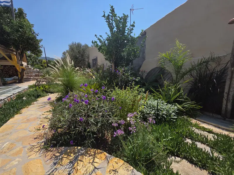 Flagstone path through the garden, past purple flowers and ornamental grasses